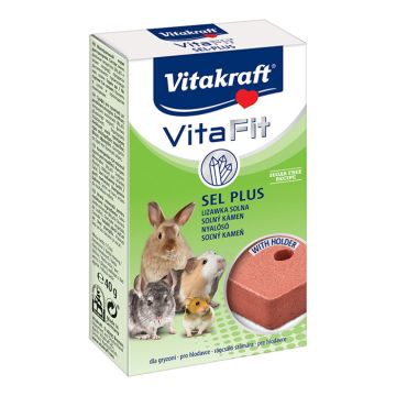 Vitakraft Vita Fit Sel Plus Πέτρα Αλατιού Με Στήριγμα 40G