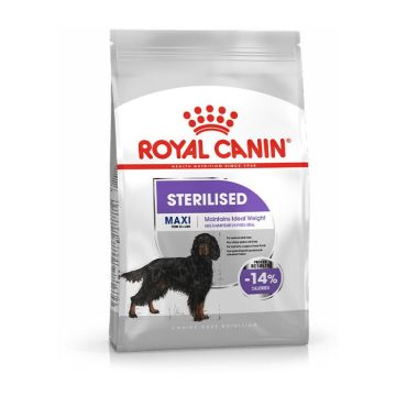 Royal Canin Maxi Sterilised Adult 12Kg
