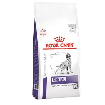Royal Canin Dental 13Kg