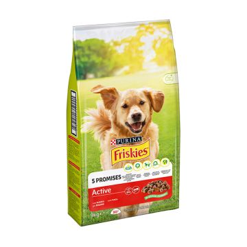 Friskies Active Adult Με Βοδινό 9Kg