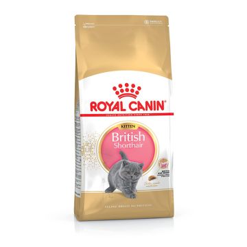Royal Canin British Shorthair Kitten 2Kg