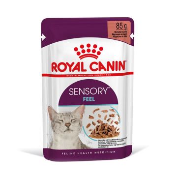 Royal Canin Sensory Feel Σε Σάλτσα 85G