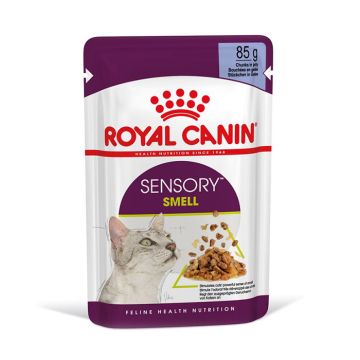 Royal Canin Sensory Smell Σε Ζελέ 85G