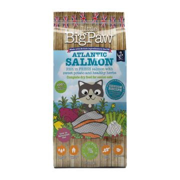 Little Big Paw Senior Με Σολομό 375g