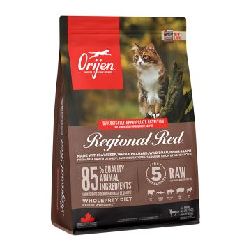 Orijen Regional Red Cat & Kitten 340gr