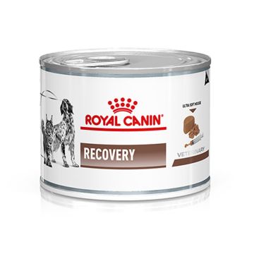 Royal Canin Cat & Dog Recovery 195G