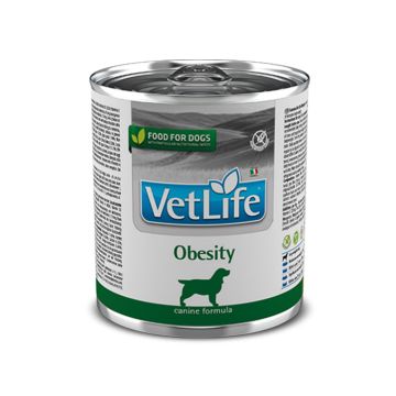 Vetlife Obesity Σκύλου 300G