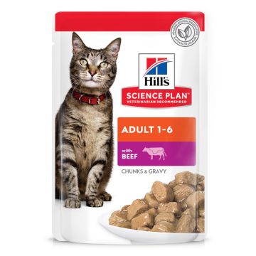 Hill's Science Plan Adult Με Βοδινό 85G