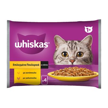 Whiskas Multipack Σε Σάλτσα Με Πουλερικά 4x85G