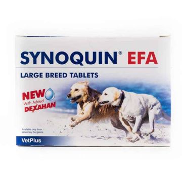 Synoquin Large Breed Tasty 30Caps
