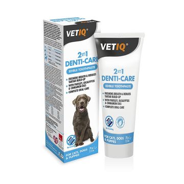 Denti Care 2In1 Paste 70G
