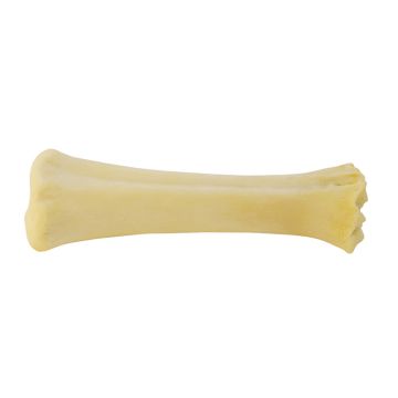 Hobbit Alf Μεγάλο Kόκαλο Ασβεστίου 15-20cm