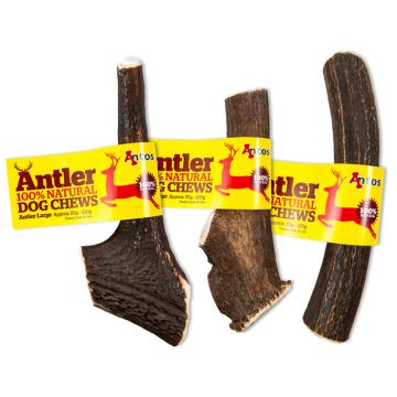 Antler Large  Κόκαλο Κέρατο 151G-220G(1Τεμ)