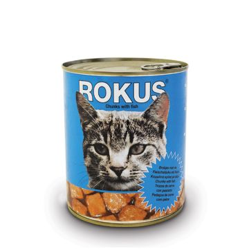 Rokus Με Ψάρι 810G