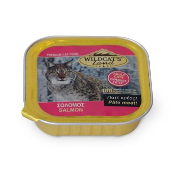 Wildcat's Allucup Adult Με Σολομό 100G