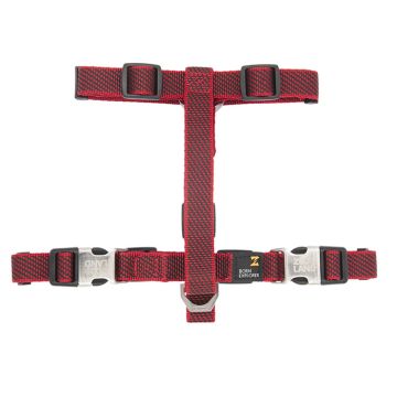 Zooland Σαμαράκι Mixer Lead Series M Μαύρο/Κόκκινο 20mm x50-70cm