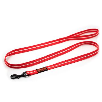 Zooland Οδηγός Cotton Webbing L Κόκκινος 25mm x120cm