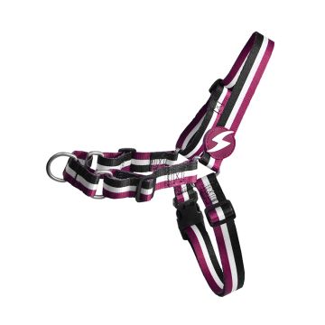 Dashi Σαμαράκι Σκύλου Stripes Purple & Black L 38-49cm