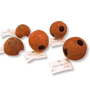 JBL Cocos Cava 1/1M