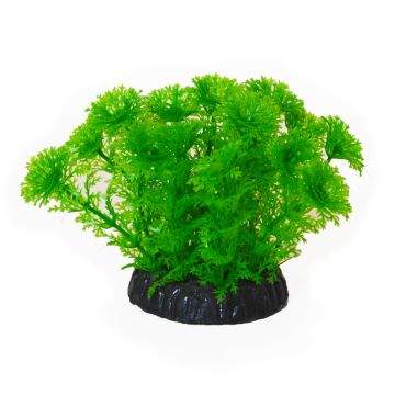 Pet Q-3" Φυτό Πλαστικό 7.5cm