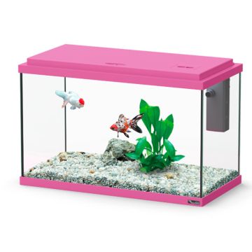 Aquatlantis Funny Fish 40 Ενυδρείο Φούξια 18L