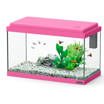 Aquatlantis Funny Fish 50 Ενυδρείο Φούξια 33.5L