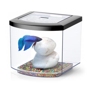 Aquatlantis Ενυδρείο Bettacub Μαύρο 6L