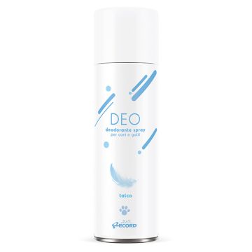 Record Deodorante Σπρέι Με Άρωμα Πούδρας 300ml