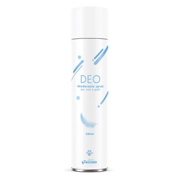 Record Deodorante Σπρέι Με Άρωμα Πούδρας 600ml