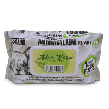 Absorb Plus Υγρά Μαντηλάκια 15x20cm Aloe Vera 80τμχ