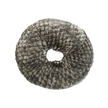 Trixie Κρικος Dentafun Fish 10cm/110G