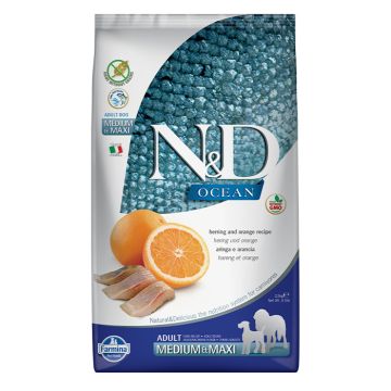 N&D Ocean Adult Medium-Maxi Με Ρέγγα & Πορτοκάλι 2.5Kg