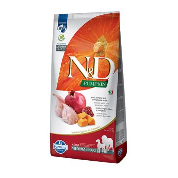 N&D Pumpkin Adult Medium-Maxi Με Ορτύκι, Κολοκύθα & Ρόδι 12Kg