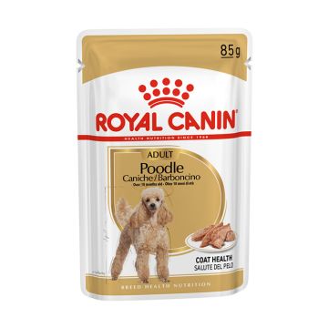 Royal Canin Poodle Adult 85G