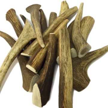 Antler Small Κόκαλο Κέρατο  50G-70G (1Τεμ)