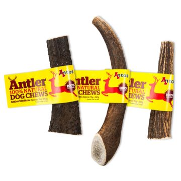 Antler Medium Κόκαλο Κέρατο 76G-150G (1Τεμ)