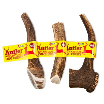 Antler XLarge Κόκαλο Κέρατο 220G-270G(1Τεμ)