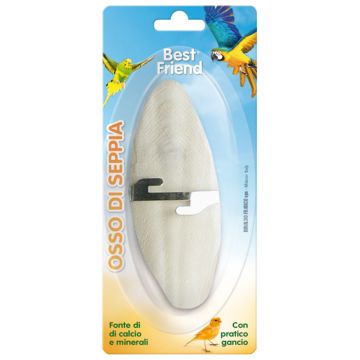 Record Best Friend Κόκαλο Σουπιάς 12x5cm 1 Tεμ