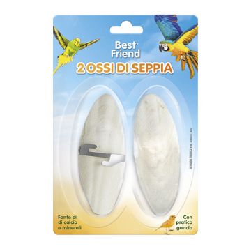 Record Best Friend Κόκκαλο Σουπιάς 10cm 2τμχ