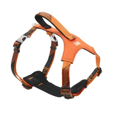 Zooland Σαμαράκι Neoman L Πορτοκαλί 25mm x70-90cm