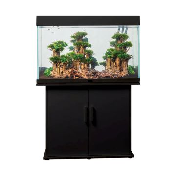 Anubias En A1000+ Led Τ. Rio180 Μαύρο & Δώρο Η Βάση