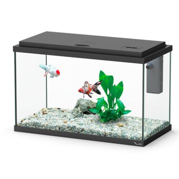 Aquatlantis Funny Fish 40 Ενυδρείο Μαύρο 18L