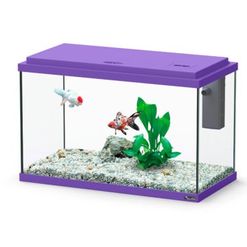 Aquatlantis Funny Fish 40 Ενυδρείο Μωβ 18L