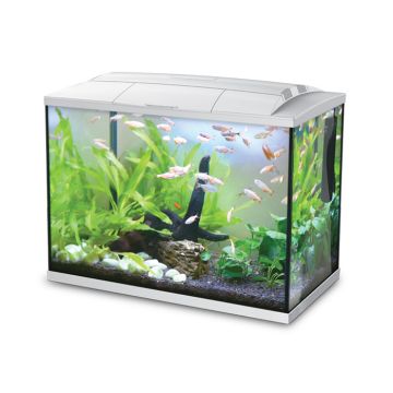 Ενυδρείο Hailea K-60 Λευκό 60Lt