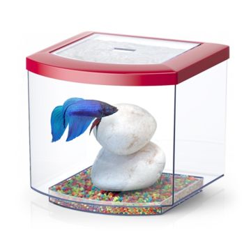 Aquatlantis Ενυδρείο Bettacub Κόκκινο 6L