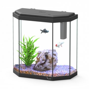 Aquatlantis Ενυδρείο Explorer Rome C25 Led Eqp Μαύρο 25L