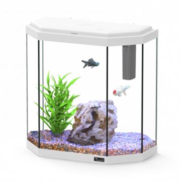 Aquatlantis Ενυδρείο Explorer Rome C25 Led Eqp Λευκό 25L