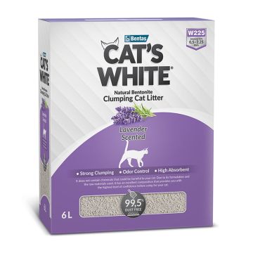 Cat's White Box Lavender 6L