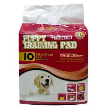 Hushpet Επιδαπέδιες Πάνες 60X60 cm (10Τεμ)