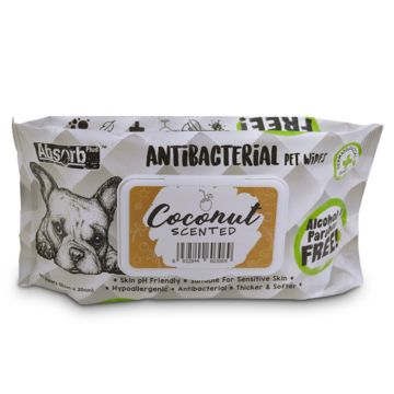 Absorb Plus Υγρά Μαντηλάκια 15x20cm Coconut 80τμχ